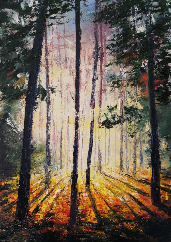 Autumn Light, The Pine Woods 50x70cm