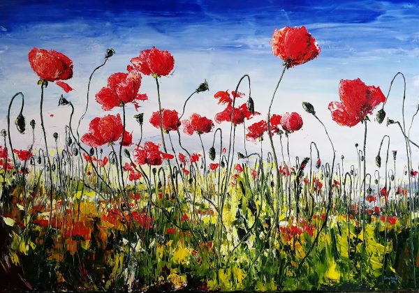 Poppies on the Terraces 1