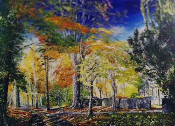 The Old Wall along the Port Road, Killarney National Park 70x50cm