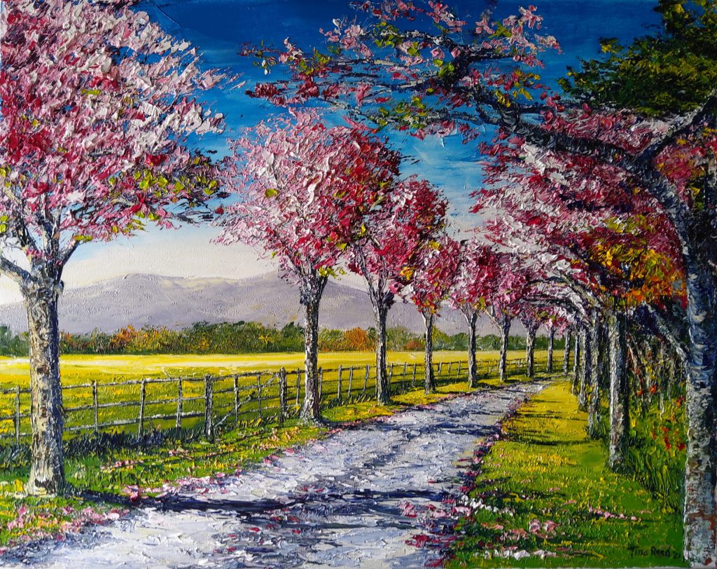 The Old Cherry Blossom Walk, Killarney 40x50cm - Tina Reed Artist