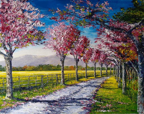 The Old Cherry Blossom Walk, Killarney 40x50cm