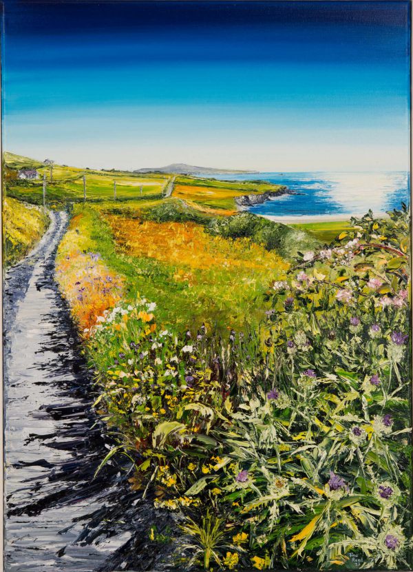 Looking West Over Trabawn Sherkin Island Print