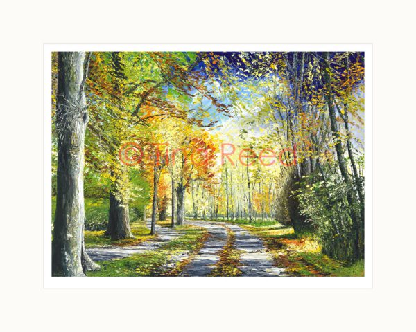Bright in Autumn Light - Killarney National Park A3 Mounted Print