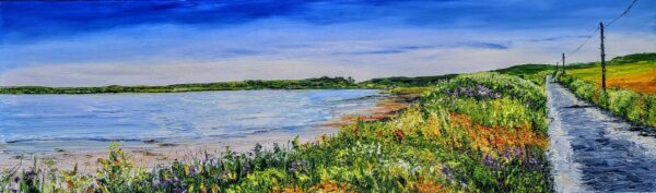 The Cuinne, Sherkin Island 100x30m