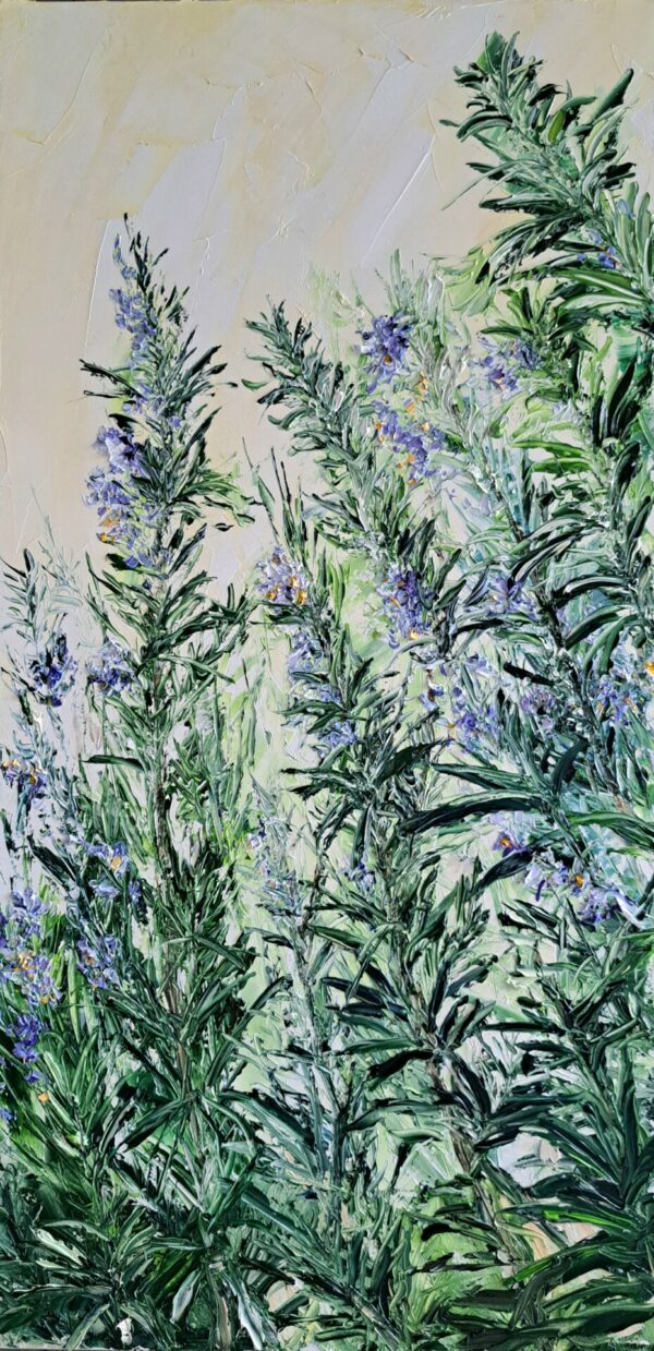 Fragrant Rosemary 30x60cm