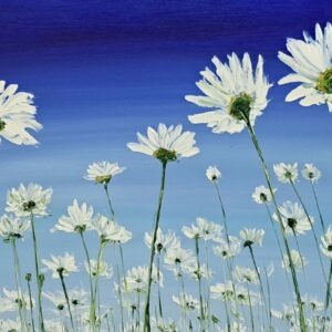 Windy Day Sherkin Daisies 25x30cm