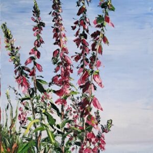 Foxgloves Below The Lighthouse, Sherkin Island 30x60cm